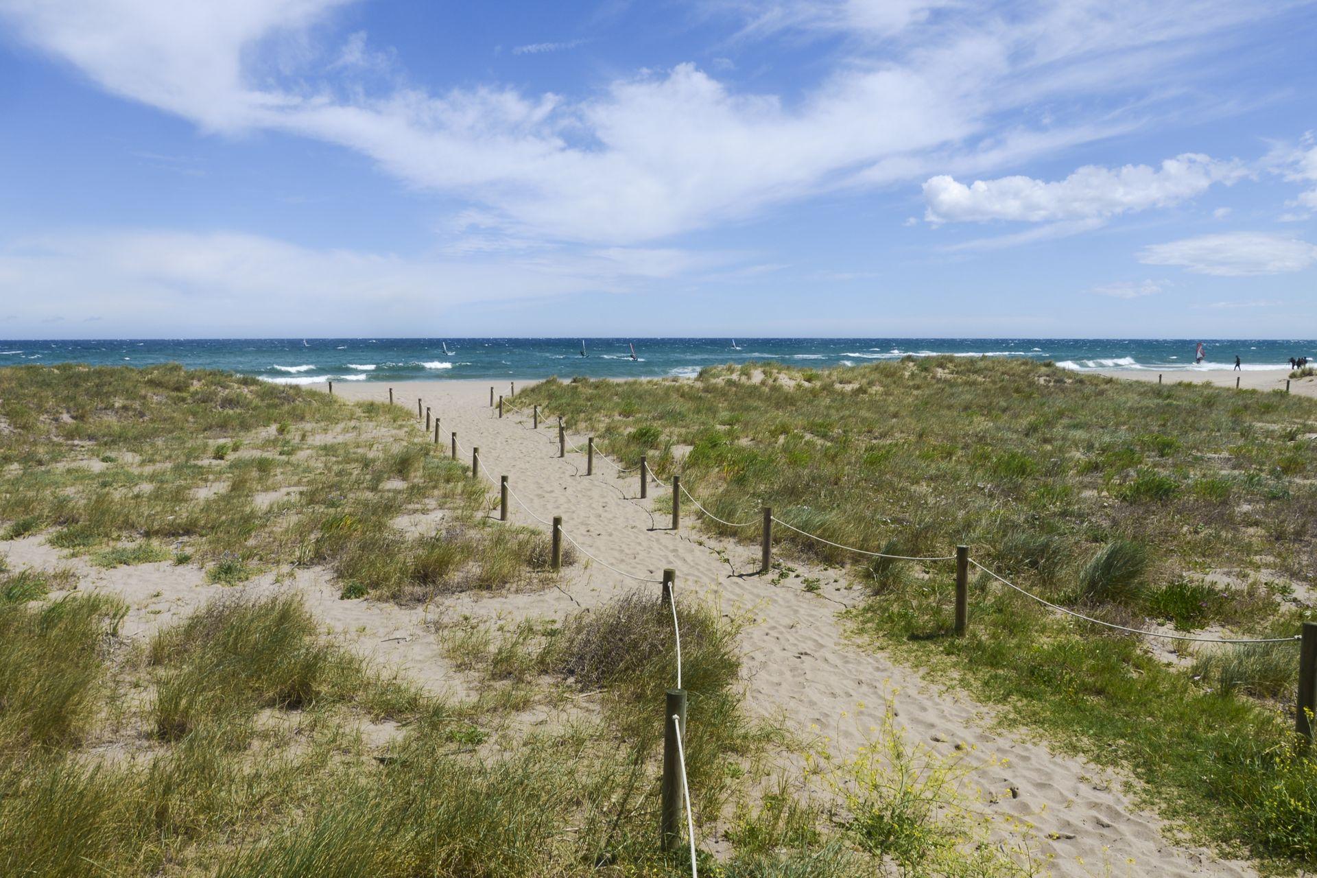 Strand en duinen aan de Belgische kust