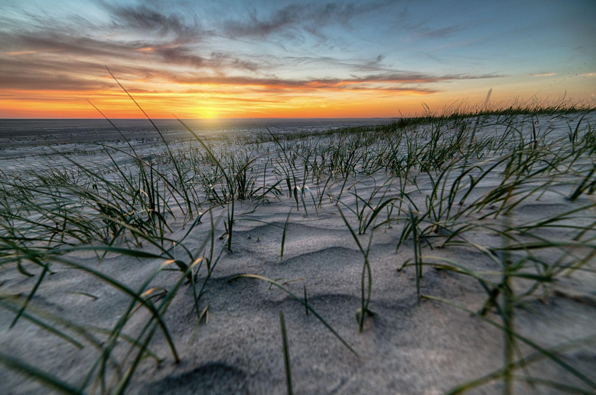 Duinen bij Duinbergen, Knokke-Heist