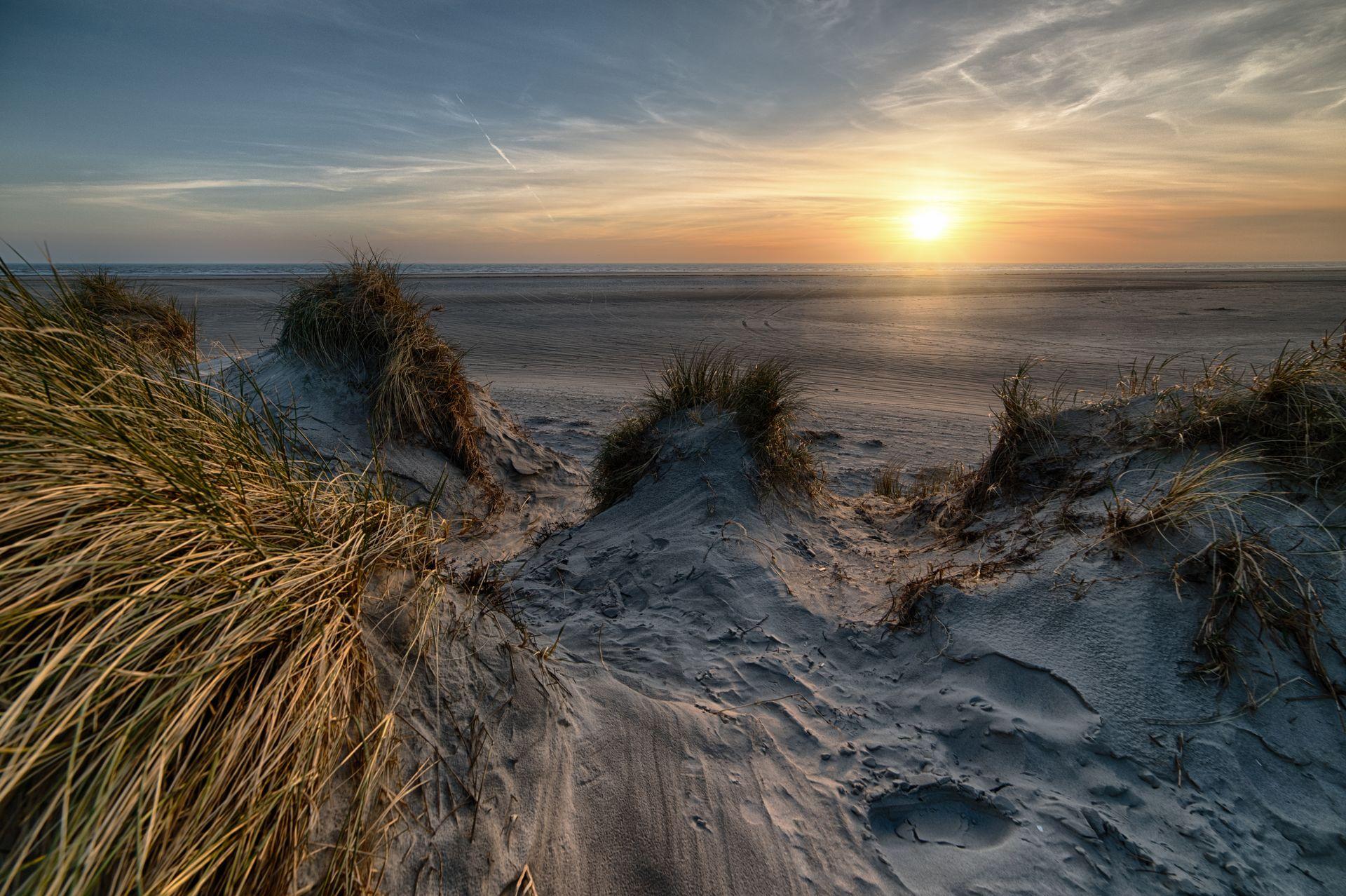 Polderlandschap bij Westkapelle, Knokke-Heist