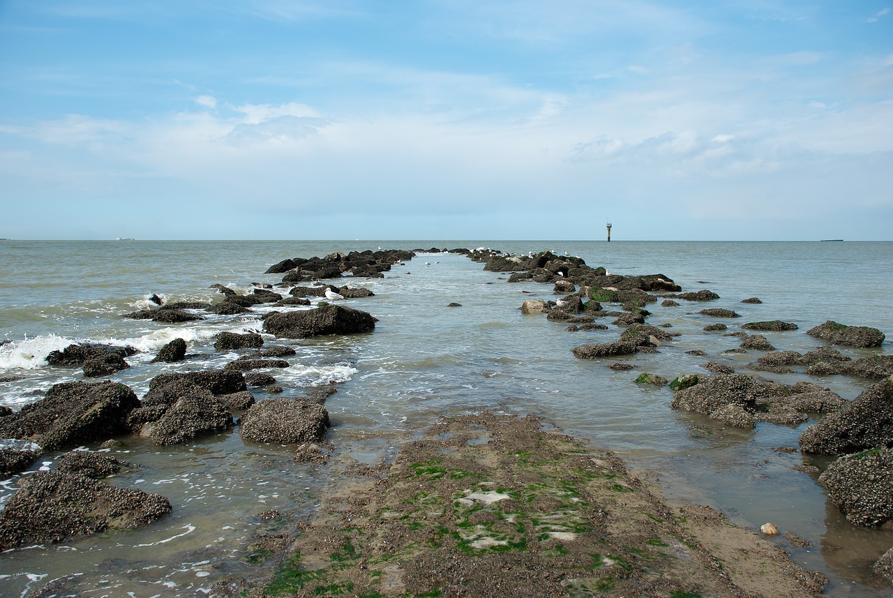 Zeezicht over de Noordzee met golfbreker, Belgische kust